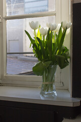 white tulip flowers into vase with sun light in a room window