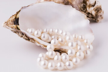 Obraz premium shell with pearls close-up in soft light colors