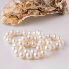 shell with pearls close-up in soft light colors