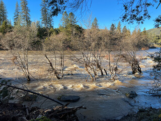 2023 New Year's Day Aftermath Flooding on the South Fork American River California, flooded river...