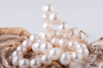 shell with pearls close-up in soft light colors
