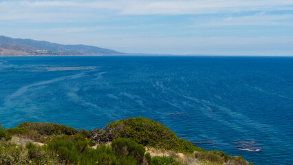 Point Dume, a promontory on the coast of Malibu, California that extends in to the Pacific Ocean with great wildlife
