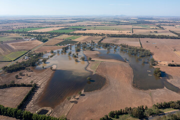 Receeding flood waters from the Lachlan river near the New South Wales central western town of Forbes.