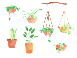 Watercolor plant in pot, basket illustration - tropical leaves, leaves of indoor plants. Home plants in house. Greenery. House decor style. Hanging plants, flowers in pots on the branch