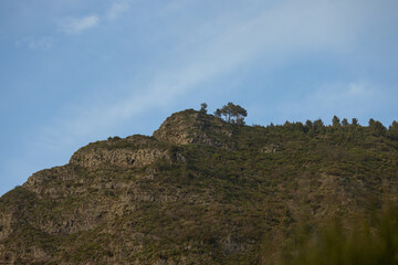 A tree in the middle of the cliffs in a very large valley in Madeira. So big that you can also call it a canyon.