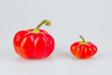 Colorful small red peppers on a white background. Sweet pepper Mini Bell. Assorted paprika. Peppers...