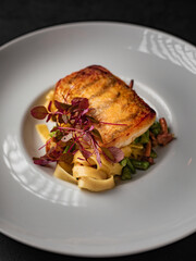 Delicious spanish food, dishes on a dark background in a restaurant, tasty looking dishes