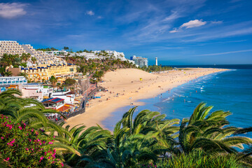 The beach Playa de Morro Jable, Fuerteventura, Spain - 558489234