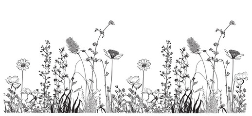 Wildflowers field border sketch hand drawn in doodle style Vector illustration