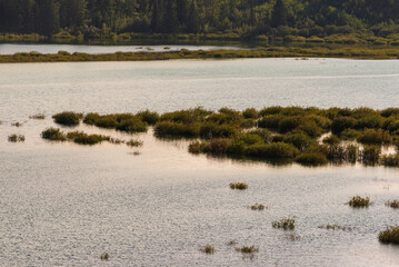 nature sceneries inside the Glenmore Park, Calgary, Alberta, Canada