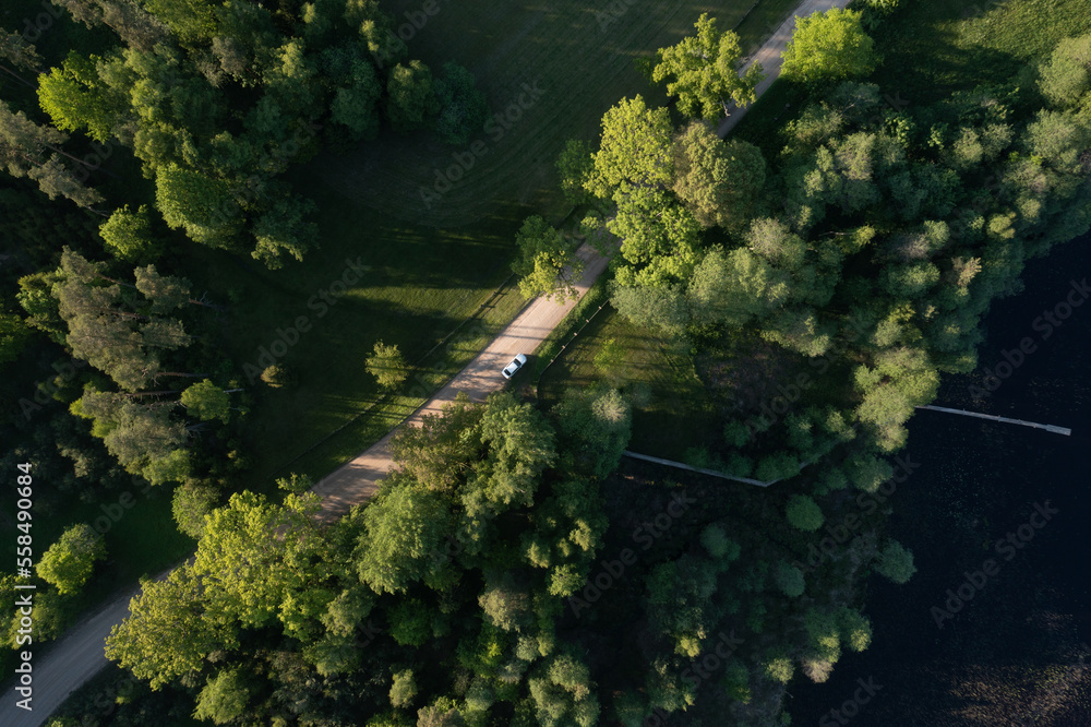 Poster an aerial view of a road in the middle of a forest with a train on the tracks in the middle of the r