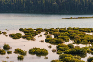 nature sceneries inside the Glenmore Park, Calgary, Alberta, Canada