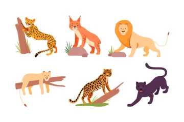 Foto op Plexiglas Set of different wild cats. Cheetah, lion, leopard, puma, panther, jaguar cartoon vector illustration © topvectors