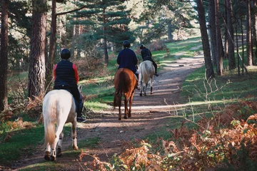 Foto op Plexiglas Horse riding tourists in the autumn sunny forest. © Alexey Bakharev