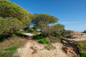 Albufeira cliffs beautiful nature and green