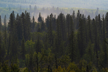 nature sceneries inside the Glenmore Park, Calgary, Alberta, Canada