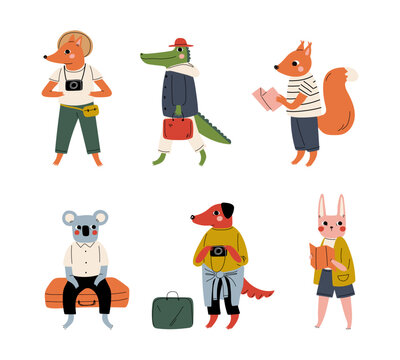Set of wild animals tourists travelling on summer vacation. Fox, crocodile, squirrel, koala, dog, rabbit, bunny travellers with luggage going on trip or vacation cartoon vector