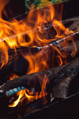 Bonfire close-up, burning firewood