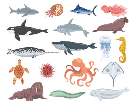 Set of sea animals. Stingray, shark, turtle, dolphin, walrus, orca whale, squid, eel, swordfish cartoon vector