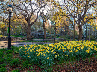 Central Park in spring