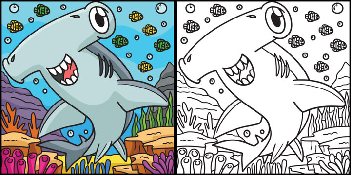 Hammerhead Shark Coloring Page Illustration