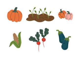Fresh organic vegetables set. Pumpkin, corn cob, radish, eggplant cartoon vector illustration