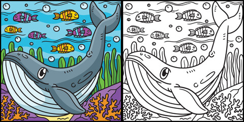 Blue Whale Coloring Page Colored Illustration