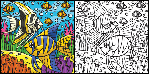 Angelfish Coloring Page Colored Illustration