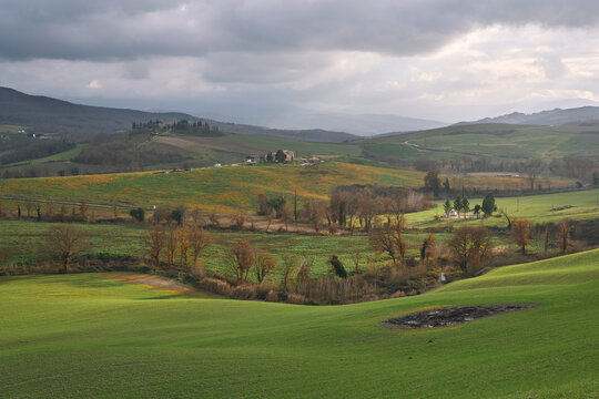 Rural landscape at San Quirico d'Orcia in Val d'Orcia, Tuscany © Paolo