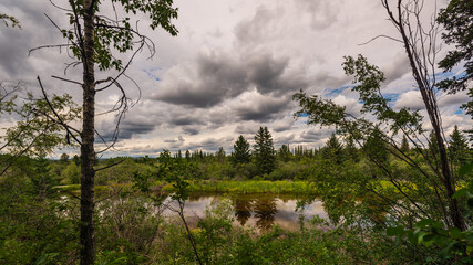 Glenmore Park nature sceneries, Calgary, Alberta, Canada