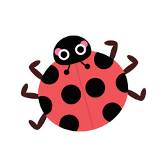 Fototapeta na wymiar Cute ladybug with big eyes and cheeks. Forest or garden insect, bug for children. Funny childish characters. Nature animal for prints, clothes, stickers, textile, baby shower. Cartoon vector