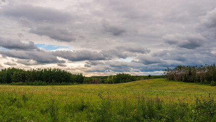 Fototapeta premium Glenmore Park nature sceneries, Calgary, Alberta, Canada