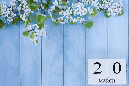 Beautiful white blossoms against a peaceful blue rustic wooden background. First day of spring equinox. Image shot from above in flat lay table top view. 