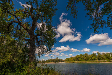 nature landscape along the Bow river in the Calgary neighborhood, Alberta, Canada
