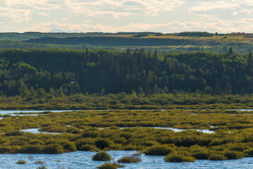 Glenmore Park nature sceneries, Calgary, Alberta, Canada