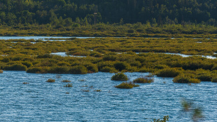 Glenmore Park nature sceneries, Calgary, Alberta, Canada