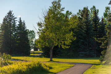 Glenmore Park nature sceneries, Calgary, Alberta, Canada