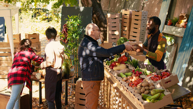 Elderly Man Buying Various Fresh Eco Fruits And Veggies At Farmers Market During Fall Time. Positive African American Farmer Small Business Owner Selling His Homegrown Bio Products.