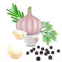 Raw garlic, clove of garlic, dill and rosemary isolated on white background. Photo realistic garlic with peeled cloves. 3d realistic vector illustration. - obrazy, fototapety, plakaty