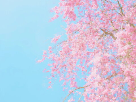 Weeping cherry blossom and bluesky. Acrylic painting of spring scene
