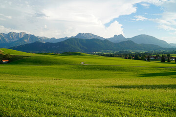 lush sundrenched green alpine meadows of Schwangau region with the Bavarian Alps in the background on a gorgeous sunny day in spring (Allgau, Fuessen, Bavaria, Germany)