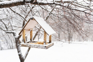 A beautiful small garden with a bird feeder, feeding in the winter time at the bird feeder. Snowy winter day in the garden.