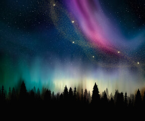 Bautiful aurora sky with siluet forest