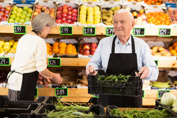 Old lady and man in aprons working in salesroom of greengrocer. Woman setting out goods on shelves, man carrying crate full of green pepper.