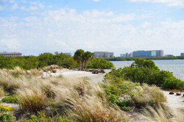 Winter landscape Cypress Point Park and Tampa Bay in Florida. It is close to TPA airport and is an Oceanfront park with a boardwalk, hiking trails, dunes, picnic shelters and a canoe dock.