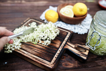 Cutting elderberry inflorescences to prepare phytomedicine preparations from medicinal plants, or a refreshing summer drink with lemon.