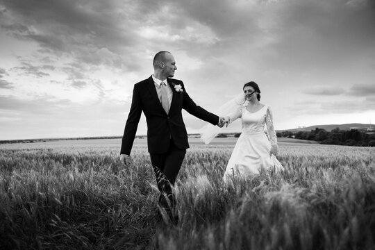 The bride and groom hold hands and look to the future in the middle of nature, the newlyweds walk together,wedding photography,until death do us part
