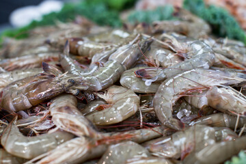 Gulf Seafood Market Pensacola, FL