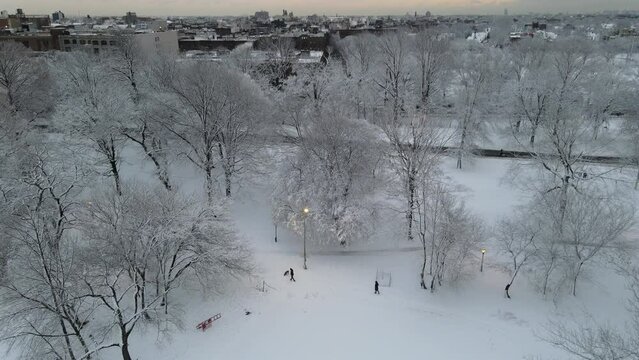 prospect park in Brooklyn in winter