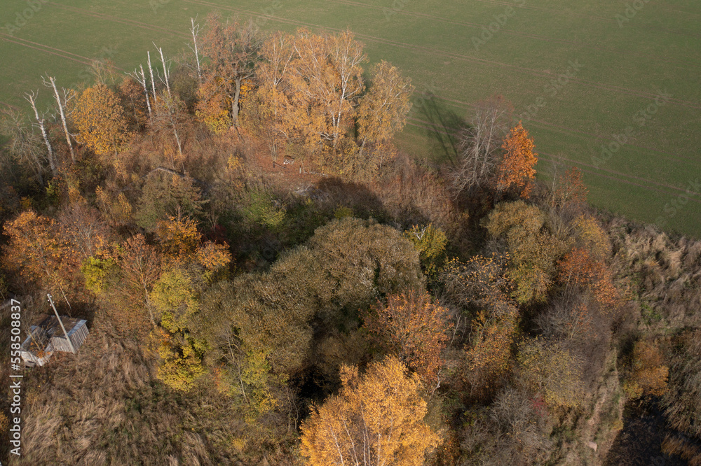 Poster an aerial view of a forest with a house in the middle of the trees and a field in the distance with 